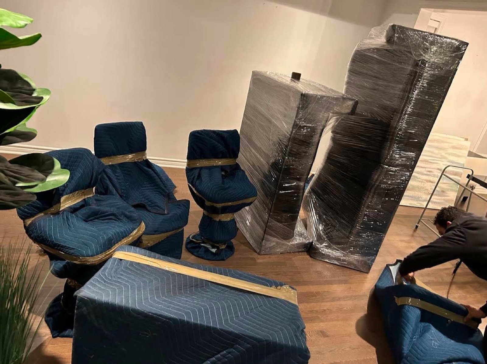 Covered chairs and a sofa, while a mover fastens a pad.
